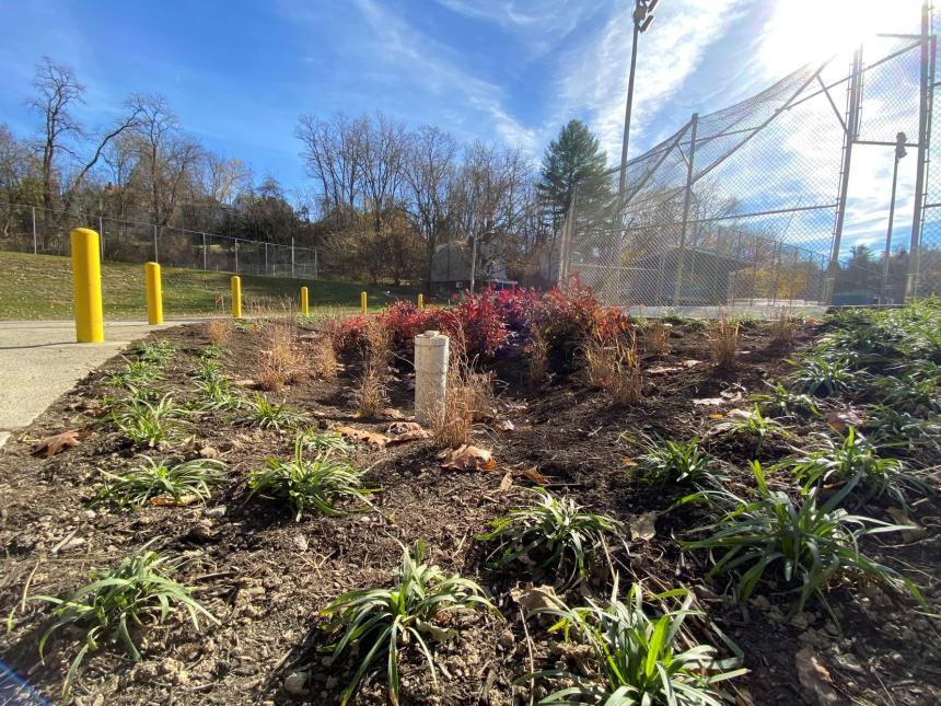 The rain garden adjacent to the ballfield at Volunteers Field filters pollution and supports drainage improvements.