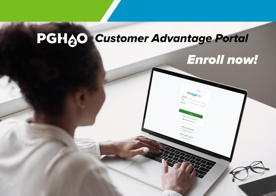 Customer advantage portal image