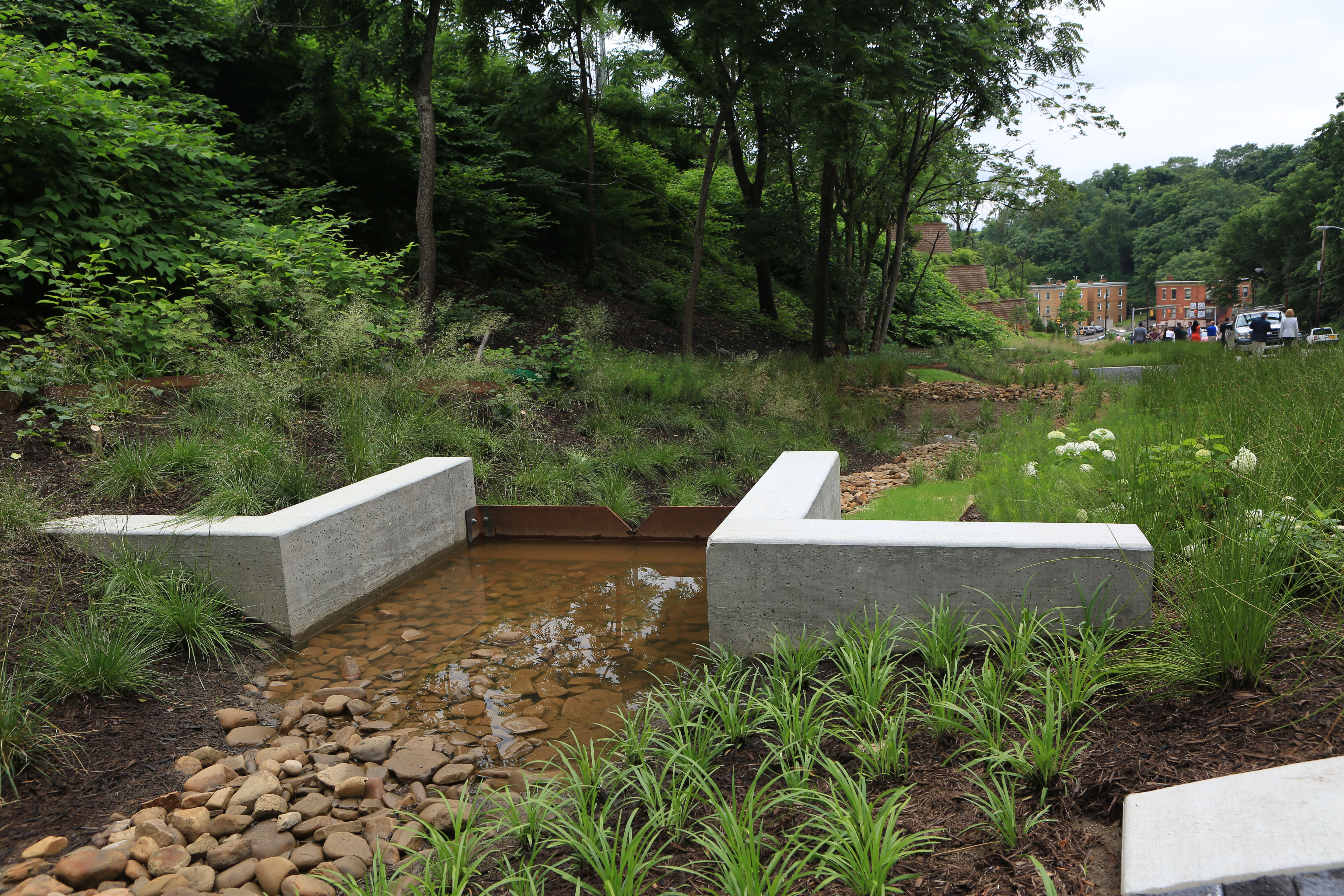 A portion of the Centre and Herron project featuring rainwater flowing into a weir and part of the bioswale.