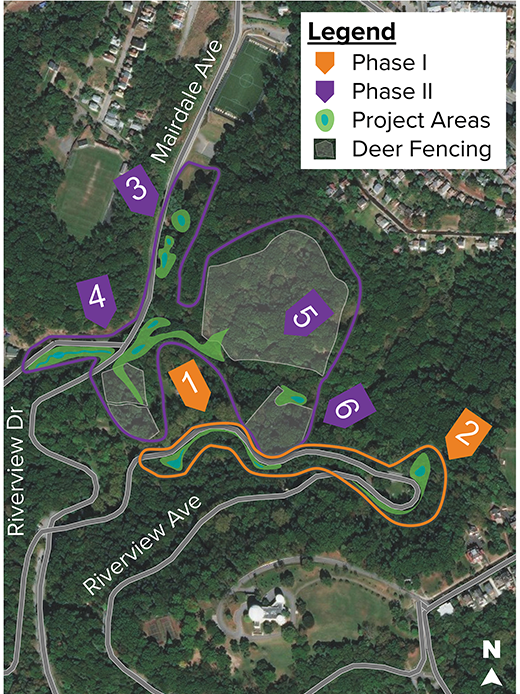 Map of Riverview Park showing phase 1 and phase 2 project areas