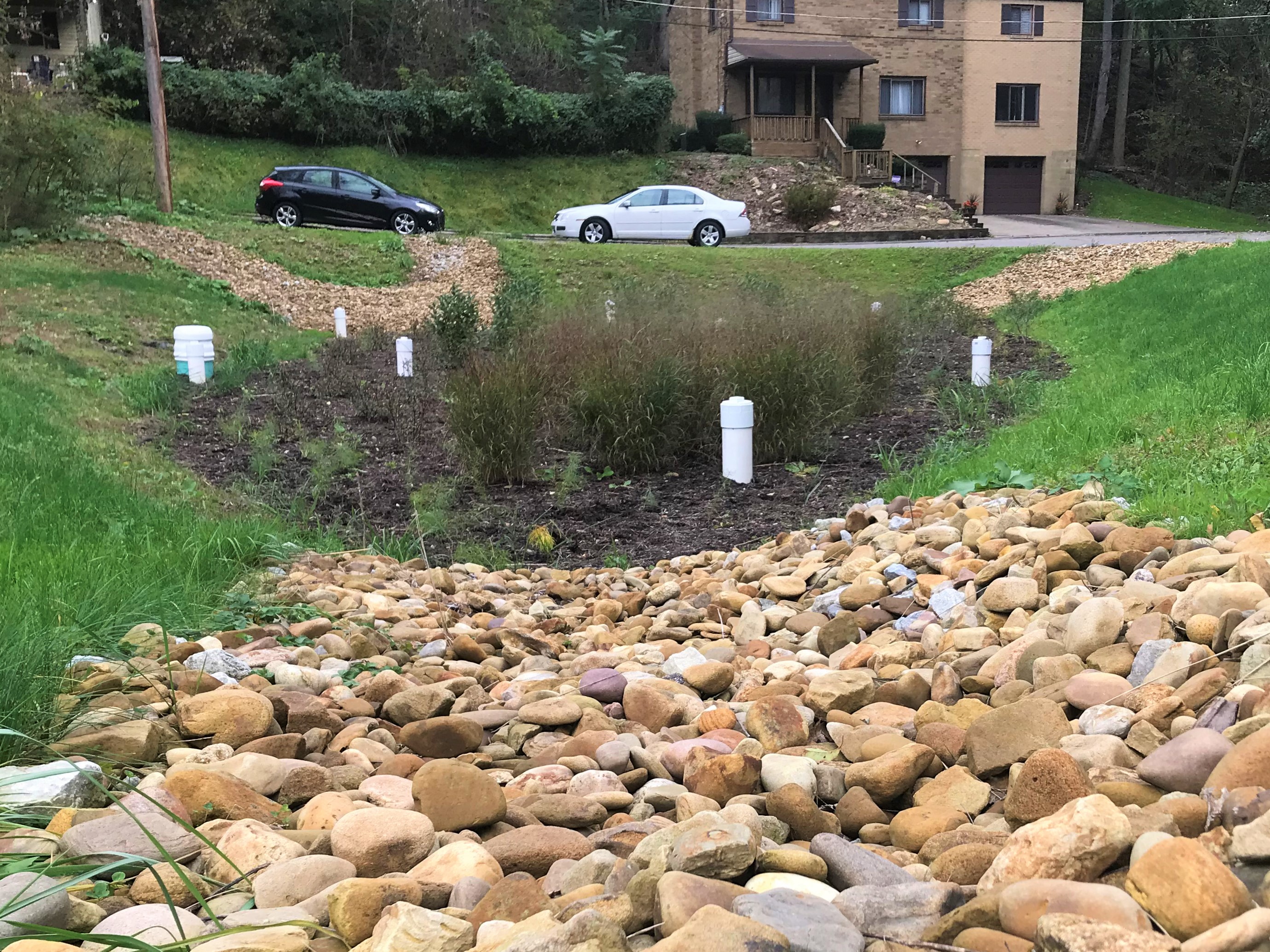 Photo of the rain garden at Volunteers Field, with round stones leading to the soil and plants