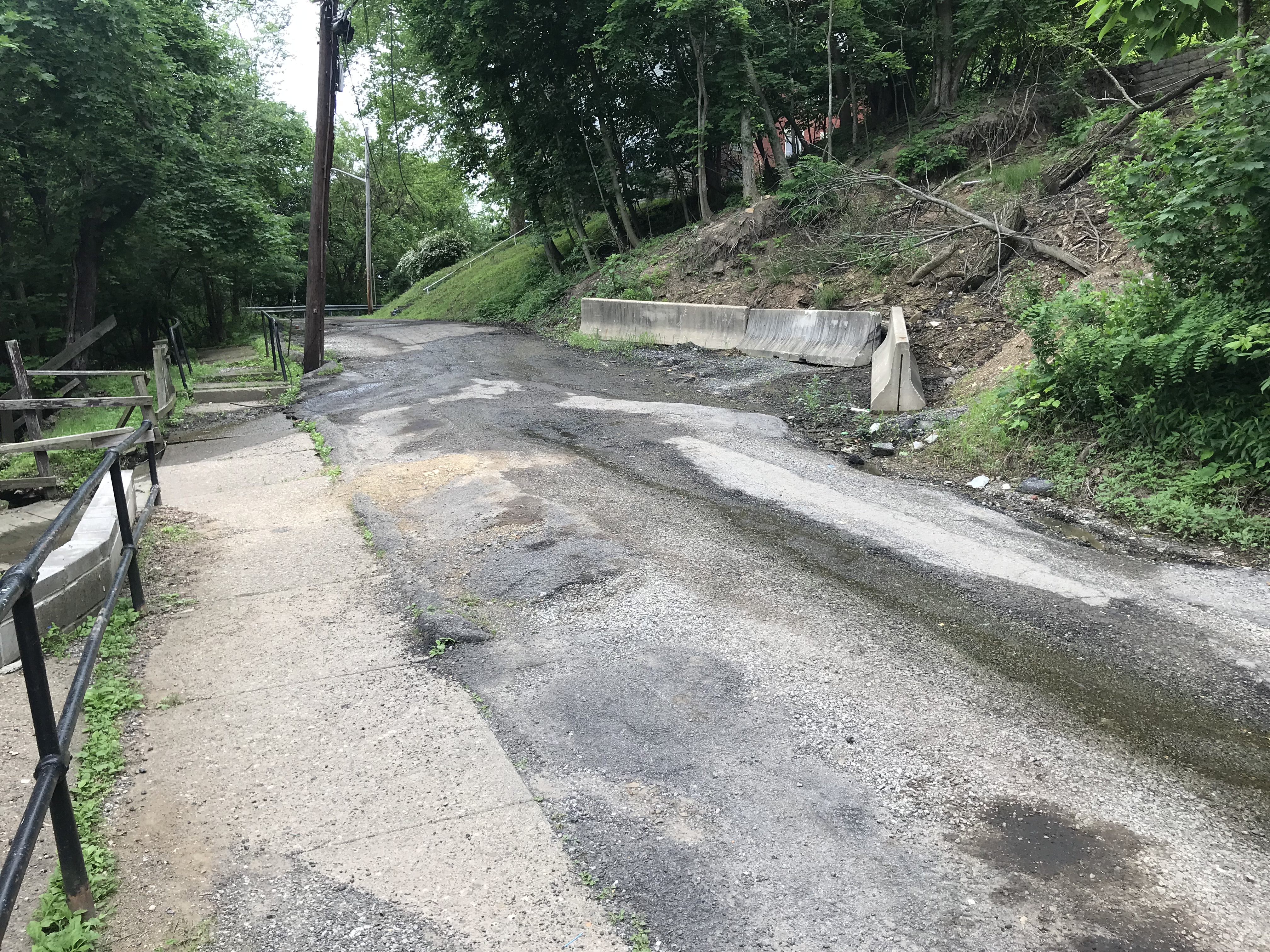 Photo of groundwater seep on Haverhill Street from July 2019. 