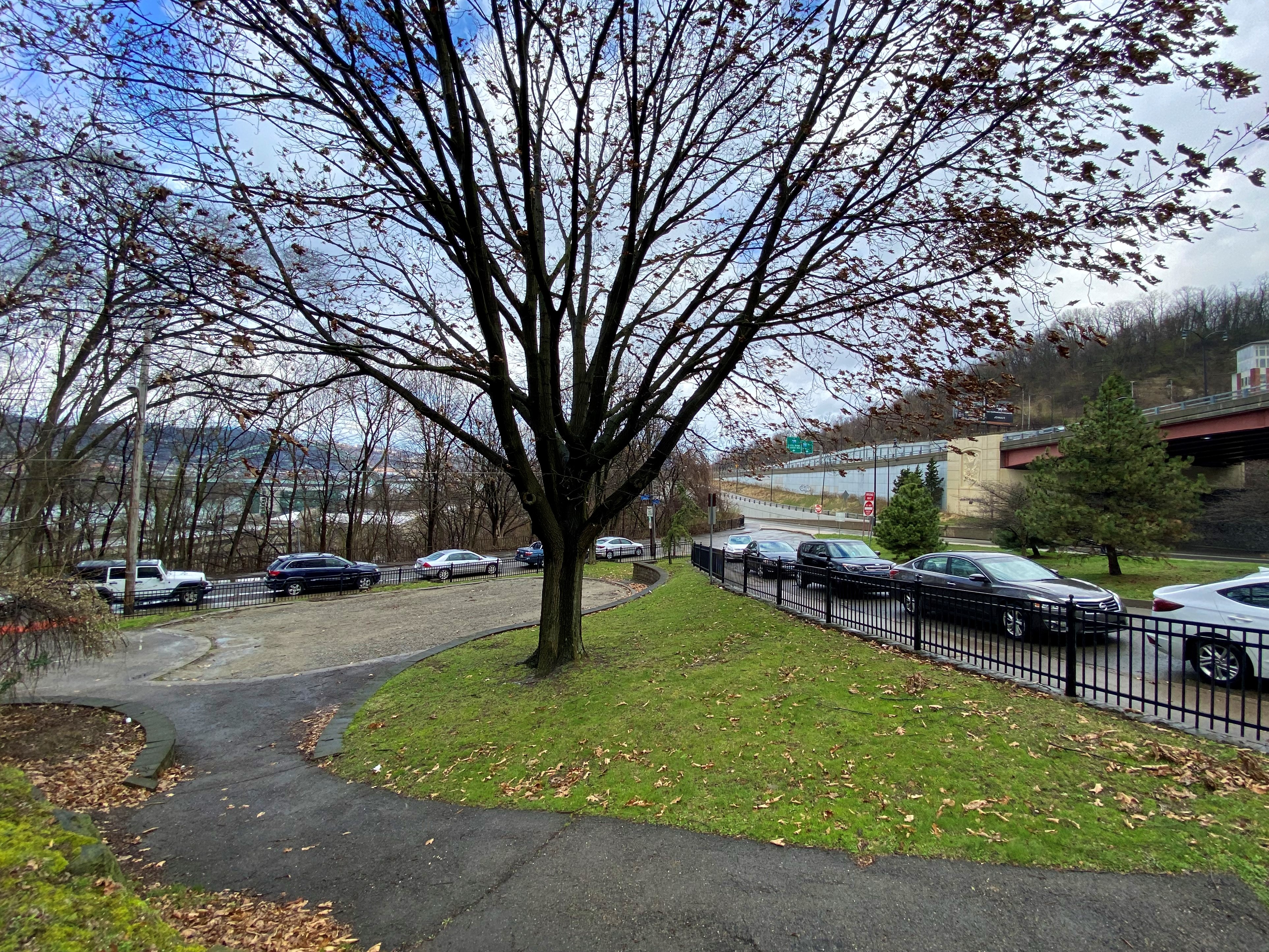 Photo of Lawn and Ophelia parklet with large tree and asphalt path
