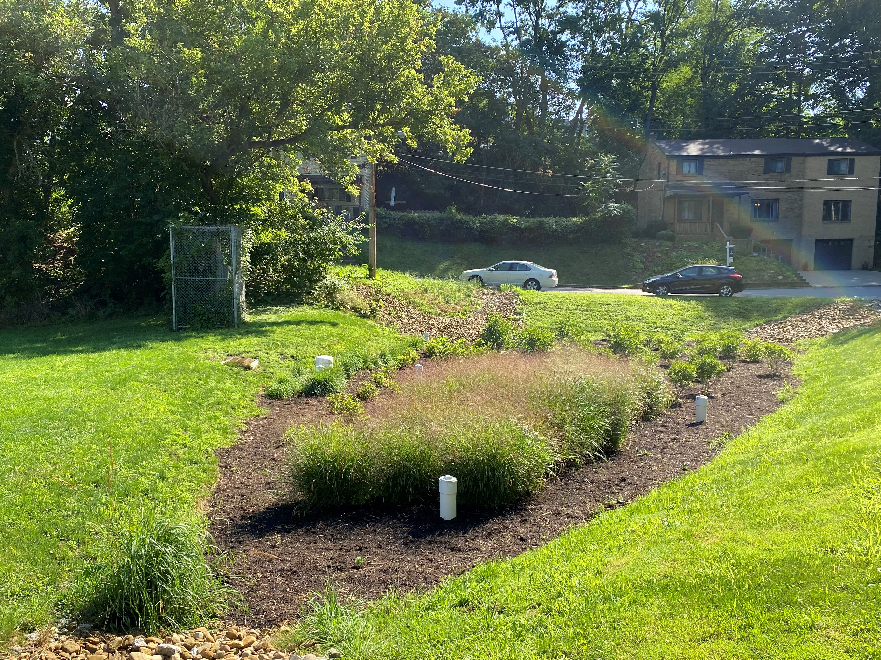 Photo of the Volunteers Field rain garden with a rainbow visible