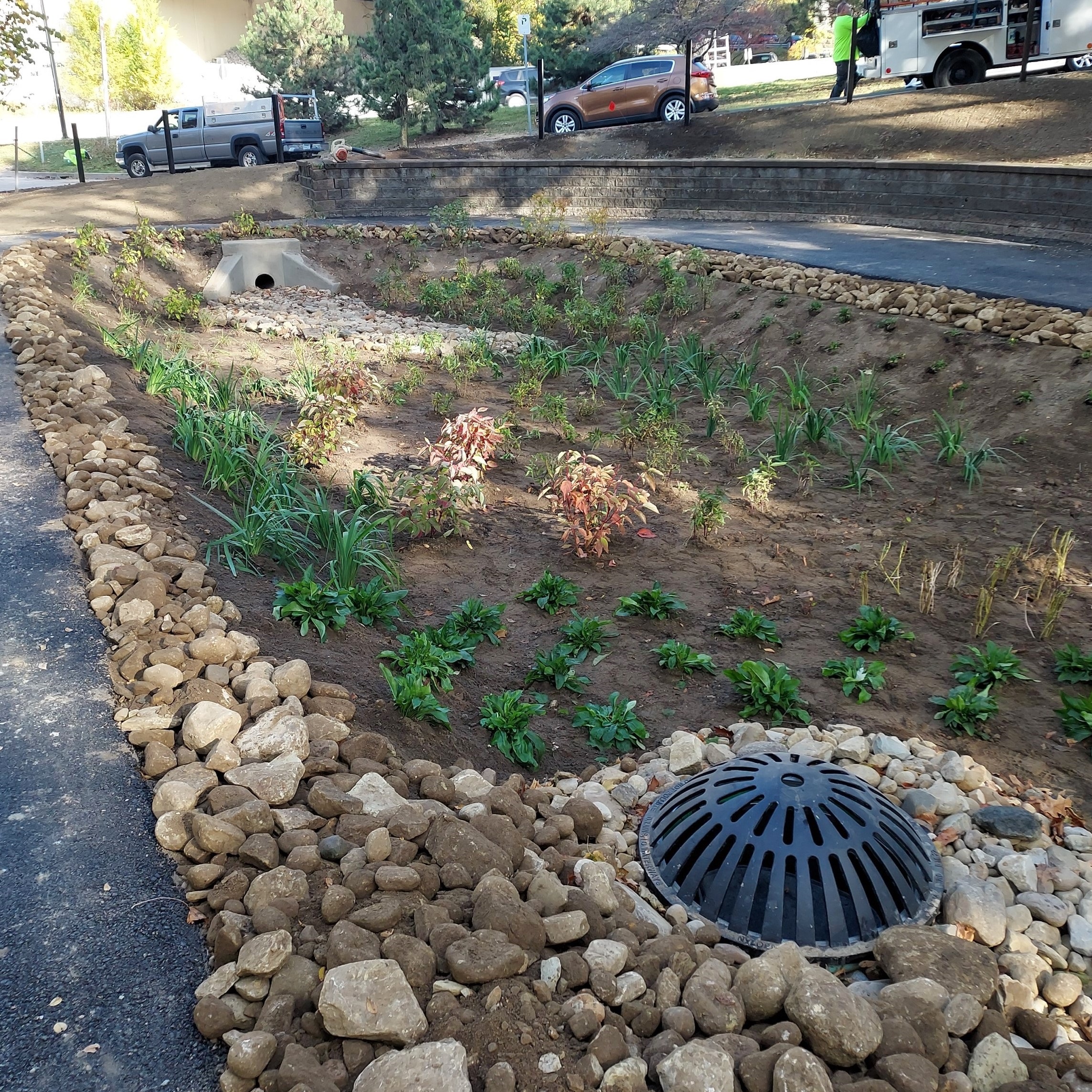 Photo of the newly constructed rain garden in Lawn and Ophelia Parklet