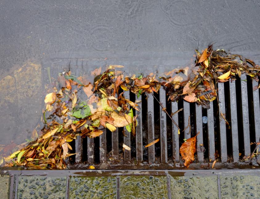 A storm drain clogged because leaves are on the surface
