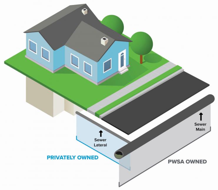 Sewer line ownership infographic.