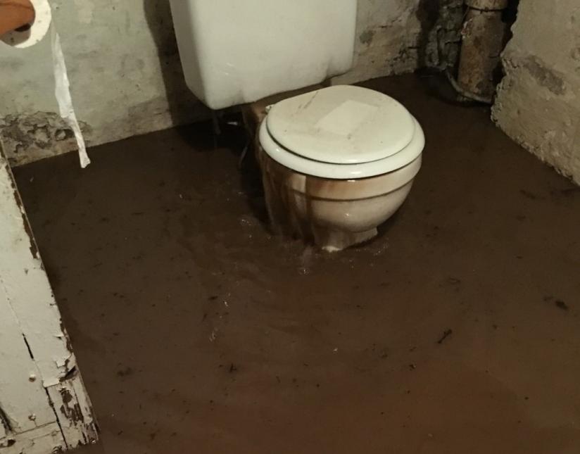 Sewage backing up through a toilet in a basement.