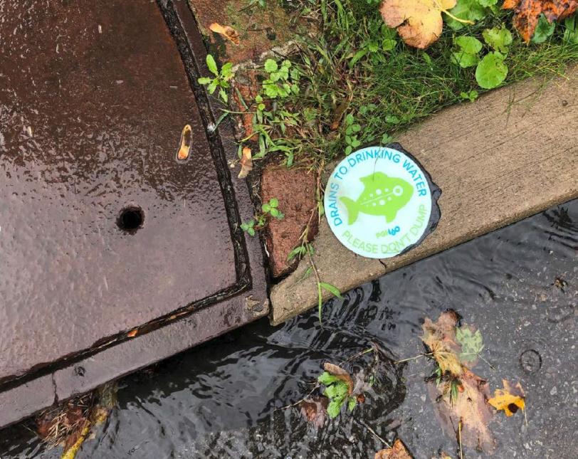Rainwater flowing into a storm drain in the curb of an asphalt road. There is a round marker on the curb that says "Drains to drinking water, please don't dump". 