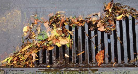 A storm drain clogged because leaves are on the surface