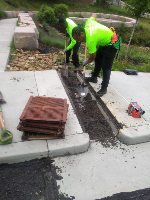 Landforce, a local organization dedicated to land stewardship and workforce development, takes care of the plants and soils for PWSA Green Infrastructure projects by removing debris and weeds so these projects can capture as much stormwater as possible.