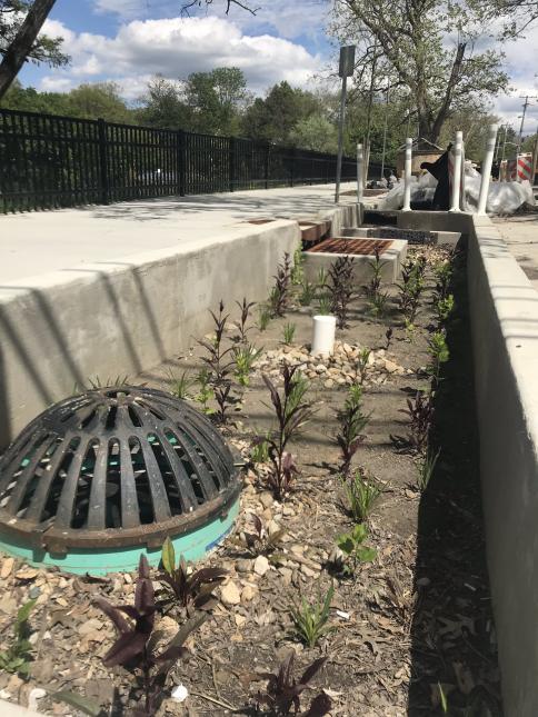 Phase Two of the Wightman Park project will include planters, like this one constructed along Solway Street during Phase One, to capture and soak up stormwater runoff then direct any excess into the new infrastructure within the park.