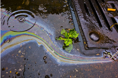 Image of a storm drain during rainy weather
