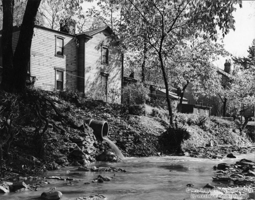 Saw Mill Raw Sewage 1930