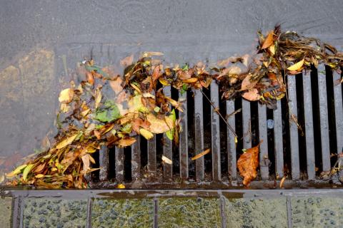 Stock photo of storm grate with leaves on top of it.