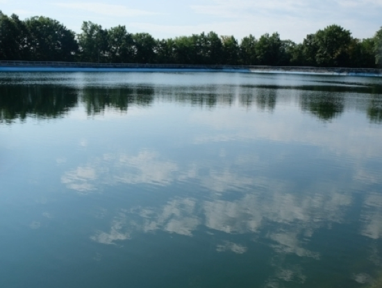Image of a lake with trees