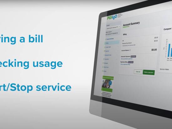 A computer screen displaying our customer service portal with text saying paying a bill, checking usage, and start/stop service.