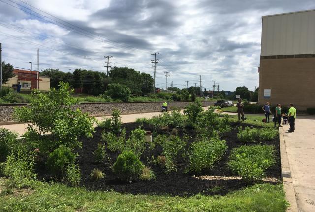 Photo of the rain garden at our water treatment plant in 2018