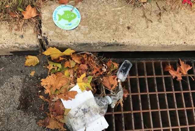 Leaves and debris covering a storm drain