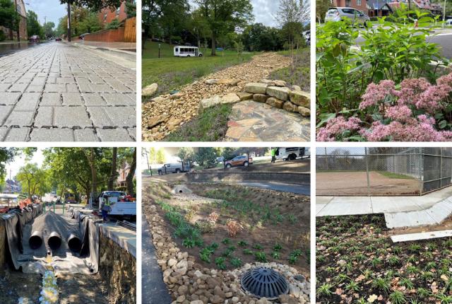 Clockwise from top left: Maryland Avenue, Woodland Road, Wightman Park Phase Two, Volunteers Field, Lawn and Ophelia, and Thomas and McPherson projects.