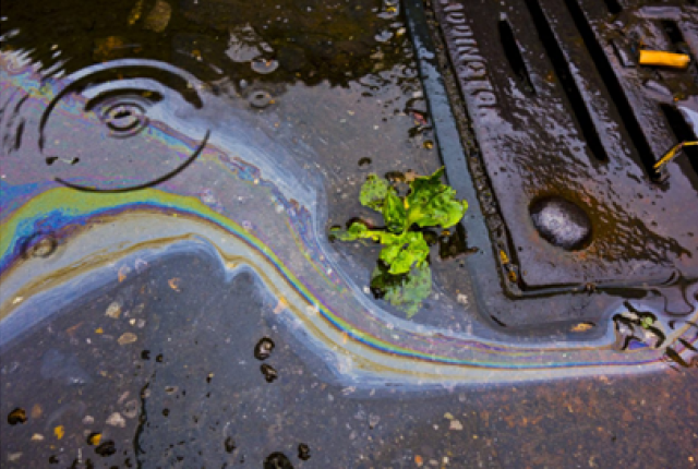 Image of a storm drain during rainy weather