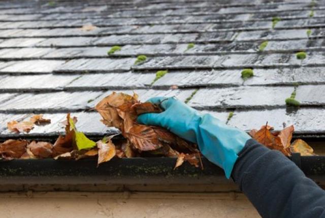 Image of person cleaning gutters.